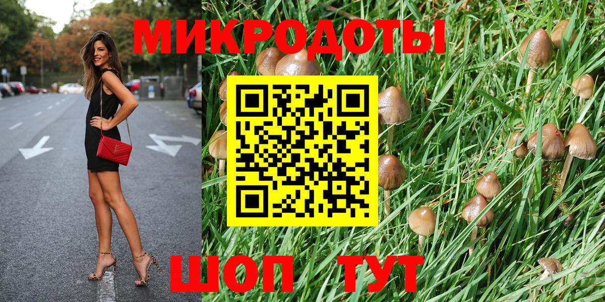 Галлюциногенные грибы Cubensis Назрань
