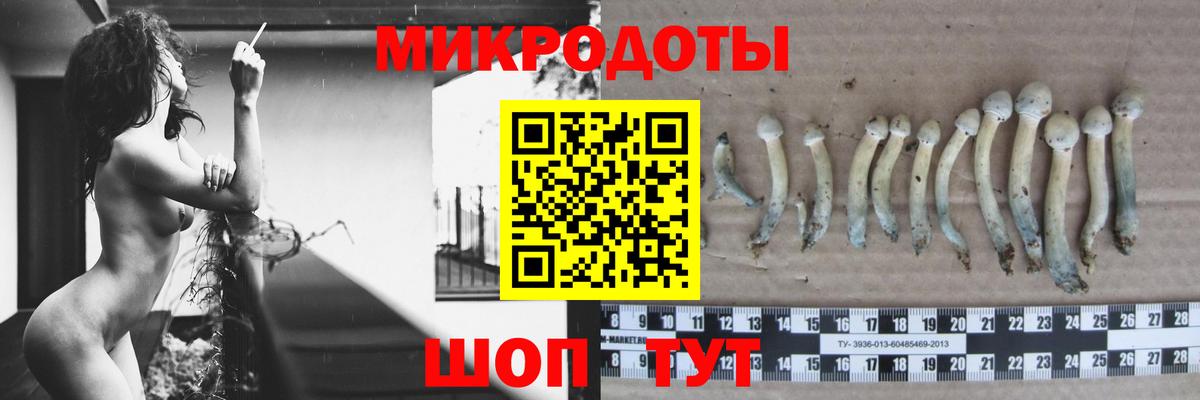 Галлюциногенные грибы прущие грибы  Вход с VPN  как найти закладки  Назрань 
